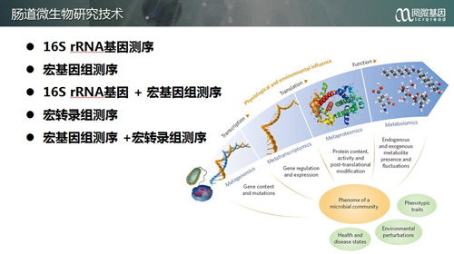 阅微基因技术有限公司