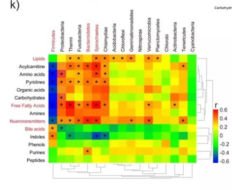 微生物与代谢产物(大类)关联分析热图