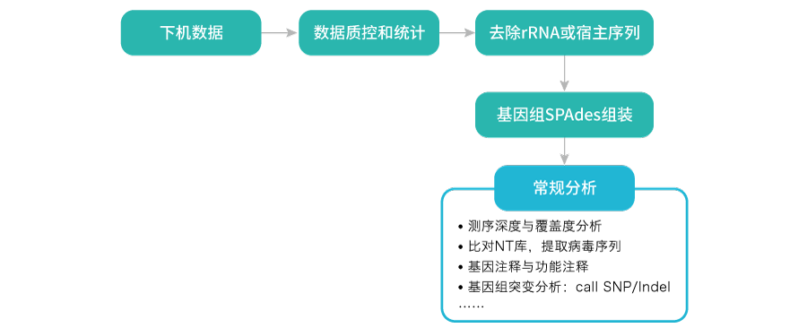 病毒基因组测序-分析流程