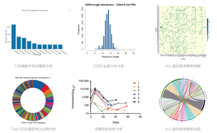 10x单细胞免疫组库V(D)J测序-部分单细胞免疫组库测序生信分析内容