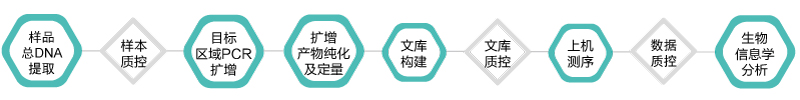 16S 18S ITS扩增子-技术路线-阅微基因