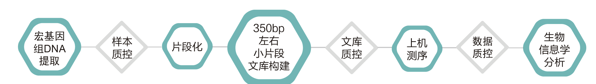 宏基因组测序-技术路线-阅微基因