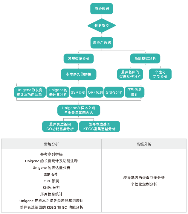 转录组测序-生信分析流程（无参）-阅微基因