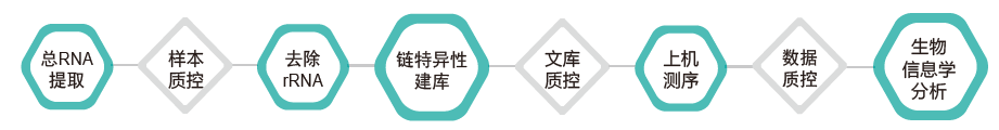 长链非编码RNA（lncRNA）测序-技术路线-阅微基因