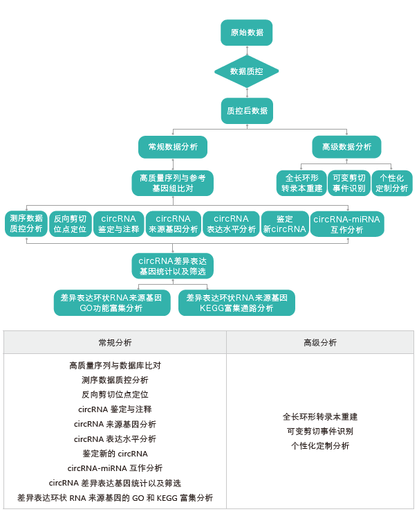 环状RNA（circRNA）测序-生信分析流程-阅微基因