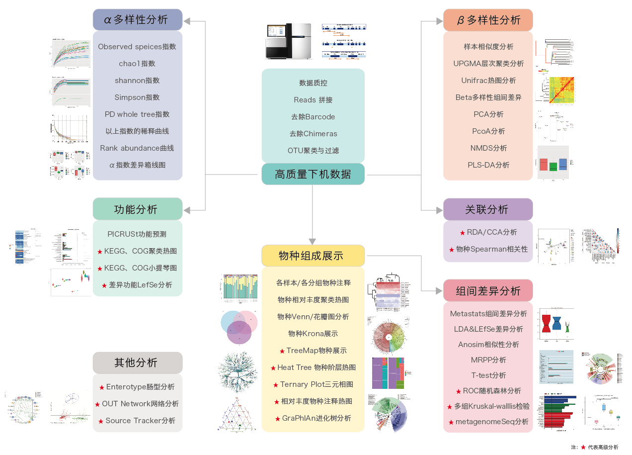 16S/18S/ITS扩增子测序-生信分析流程-阅微基因