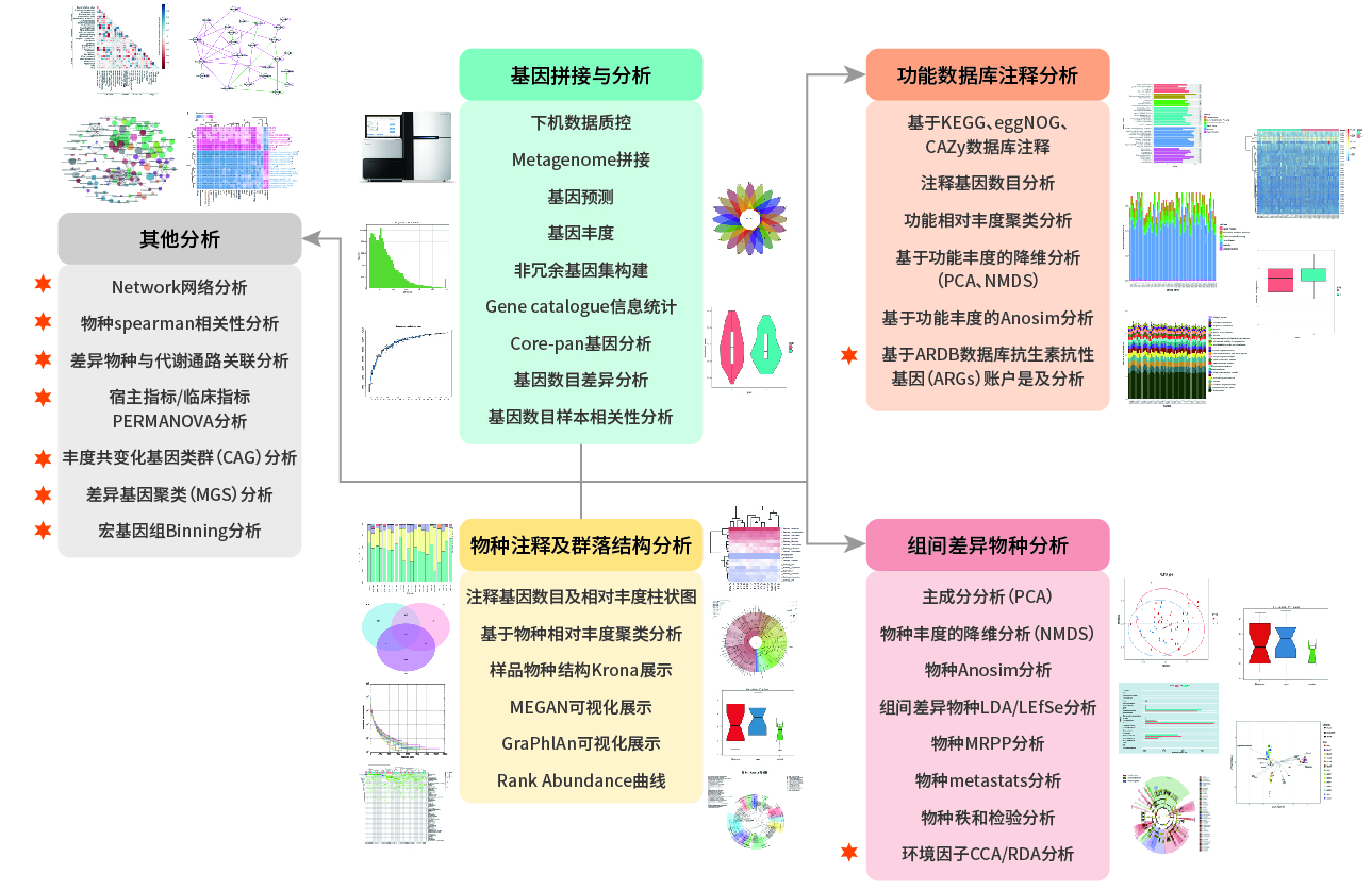 宏基因组测序-生信分析流程-阅微基因