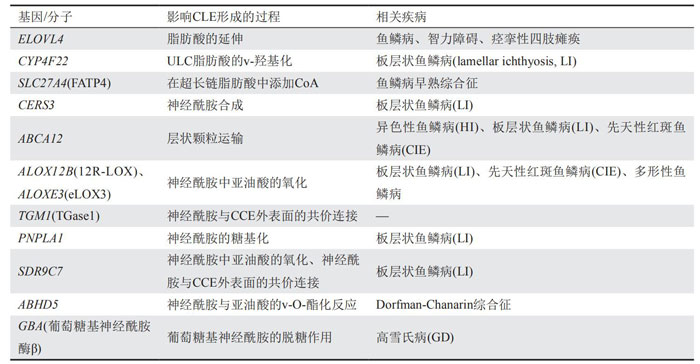 脂质包膜形成相关基因-阅微基因