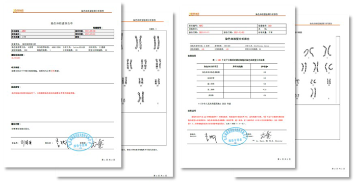 阅微基因染色体核型分析报告模板