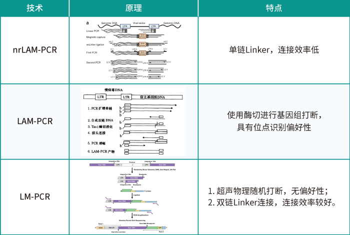 慢病毒随机插入的位点评估方法_阅微基因_慢病毒插入位点检测